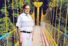 ತೂಗು ಸೇತುವೆಗಳ ಸರದಾರ... metrovaartha en 2026 07 07 pce295db bridgeman