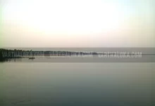 300px Nathravathi River In Manglore 001 220x150
