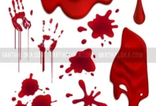 Realistic Blood Drops Blots Set Illustration 1284 31308 220x150