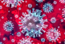 1800x1200 Virus 3d Render Red 03 Other 220x150