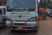 Wp 16029962702887550632808933173994 220x150