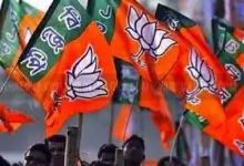 Bjp10 220x150
