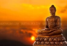 Istockphoto 485020819 612x612 1 220x150