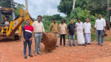 whatsapp image 2025 11 04 at 8.32.20 pm