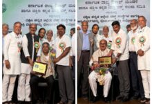 whatsapp image 2025 11 05 at 8.05.23 pm