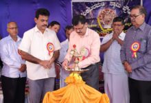 whatsapp image 2025 12 08 at 7.04.12 pm