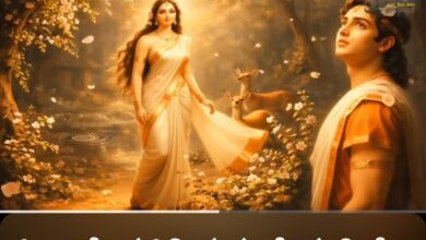 whatsapp image 2026 01 26 at 5.47.02 pm