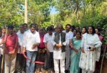 whatsapp image 2026 02 12 at 6.17.58 pm